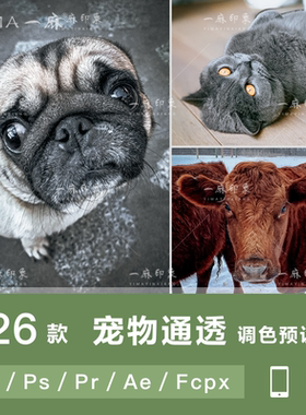 LR预设PS宠物动物猫狗手机APP调色PR/FCPX/达芬奇/AE滤镜ACR/LUT