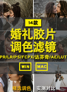 婚礼胶片颗粒LR预设PRPSFCPX达芬奇AELut调色滤镜摄影后期素材