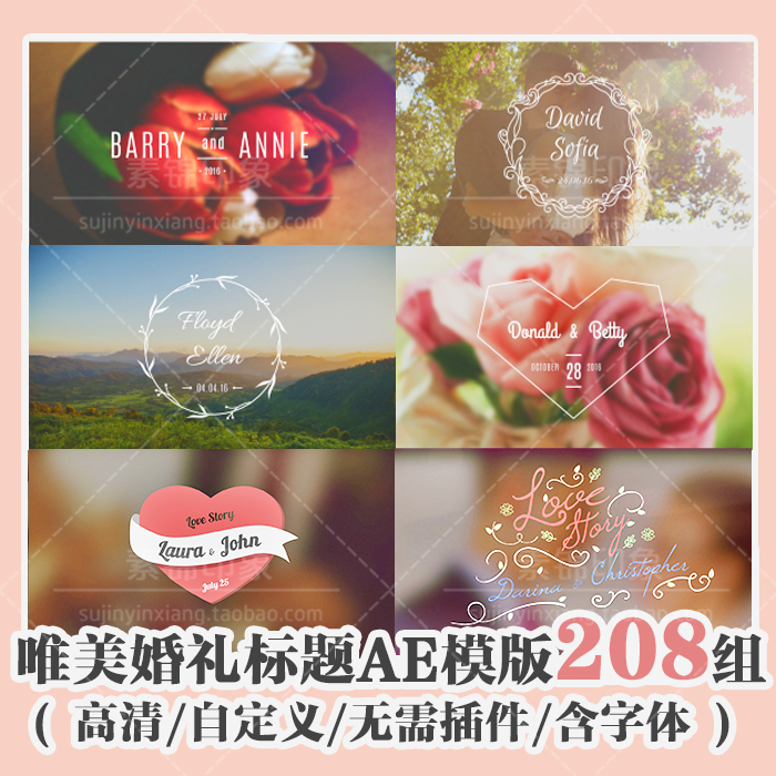 国外AE模版素材 唯美婚礼标题文字 微电影开场MV片头动画后期字幕