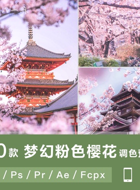 LR预设PS日系小清新粉色樱花人像调色PRFCPX达芬奇AE手机滤镜LUT