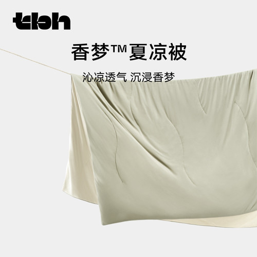 tbh野兽派家居鼠尾草香夏被