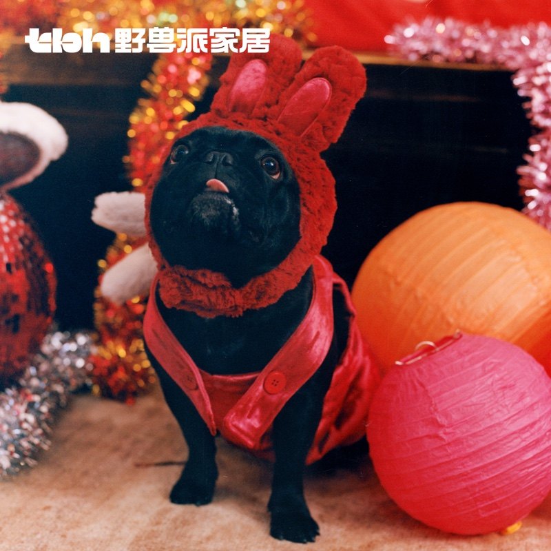 tbh野兽派家居小兔有戏宠物贺岁三件套宠物用品送人新年礼物套装,宠物/宠物食品及用品,猫宠物服装/雨衣（新）,淘宝优惠券,粉丝福利购,淘宝优惠卷