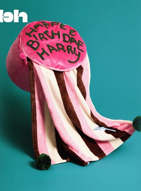 tbh野兽派家居哈利波特生日蛋糕二合一法兰绒暖香毯抱枕生日礼物