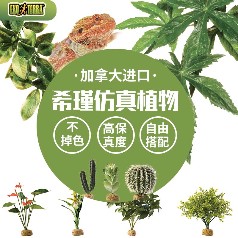 希瑾爬虫雨林造景仿真植物躲避