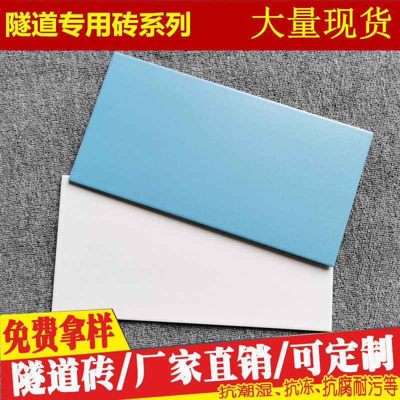 哑光瓷砖天蓝色水池地中海