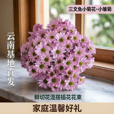 鲜花三文鱼小菊花小雏菊鲜切花混搭插花花束家庭云南基地直发