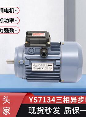 现货三相异步电动机YS7134交流550w380v电动机非标全铜线电机
