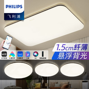 飞利浦悦巧led全屋大气风吸顶灯