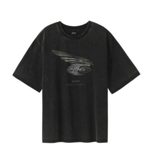 ANQ日系潮牌美式夏季翅膀图案水洗做旧短袖VIBE风宽松休闲T恤男女