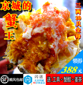 包邮 顺丰 4.0两螃蟹公母任选10只装 北京闪送现货鲜活大闸蟹3.0