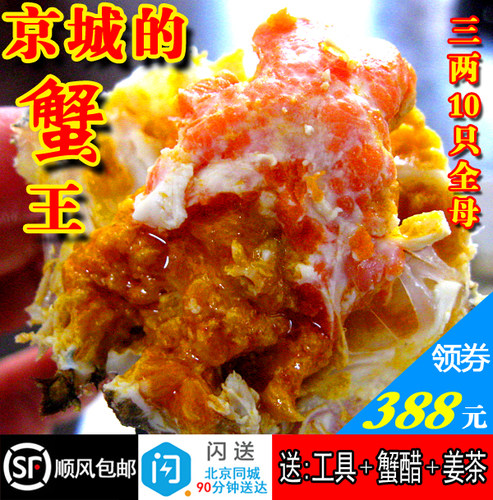 闪送现货鲜活大闸蟹螃蟹公母任选