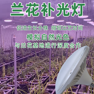 三农卉兰花补光灯植物生长灯LED生长分株模拟自然光色大棚补光灯