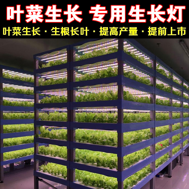 植物生长灯植物灯SNH叶菜补光灯