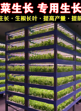 LED红蓝白植物生长灯大棚蔬菜工厂室内水培叶菜全光谱T8补光灯管