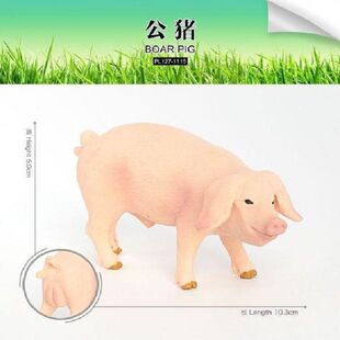 仿真实心动物世界野生动物农场之母猪家禽儿童认知模型玩具