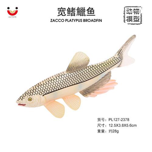 儿童认知仿真海洋动物宽鳍鱲鱼