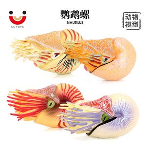 仿真海洋生物模型彩色鹦鹉螺寄居蟹儿童实心塑料认知玩具摆件饰品