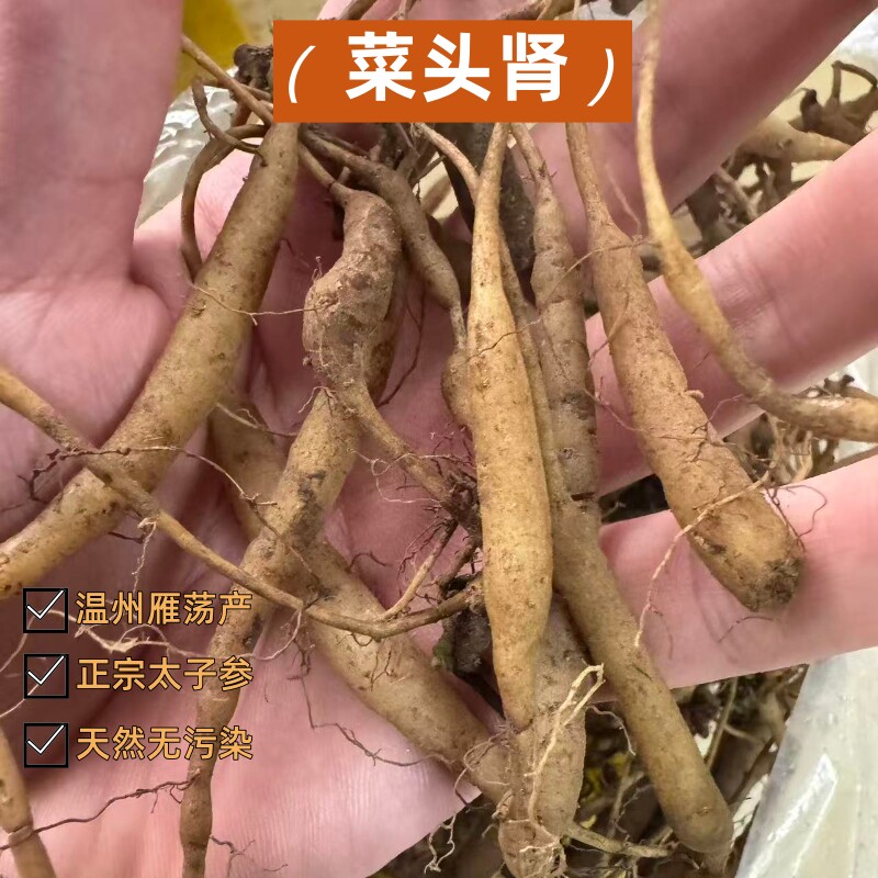 正宗太子参温州雁荡山野外新鲜菜头肾土太子参补肝肾壮筋骨风火