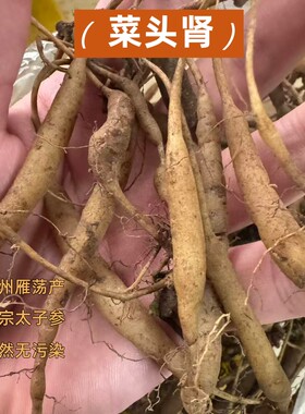温州雁荡山纯正野外太子参菜头肾
