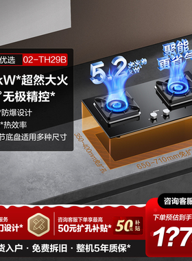 方太02-TH29B燃气灶煤气灶台双灶嵌入式家用天然气液化气台式官方