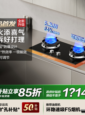 [新品]方太TX22燃气灶天然气灶台煤气灶家用双灶可拆卸官方旗舰店