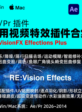 Ae/Pr 视频特效瘦脸插件合集RE:VisionFX Effections Plus v25.08