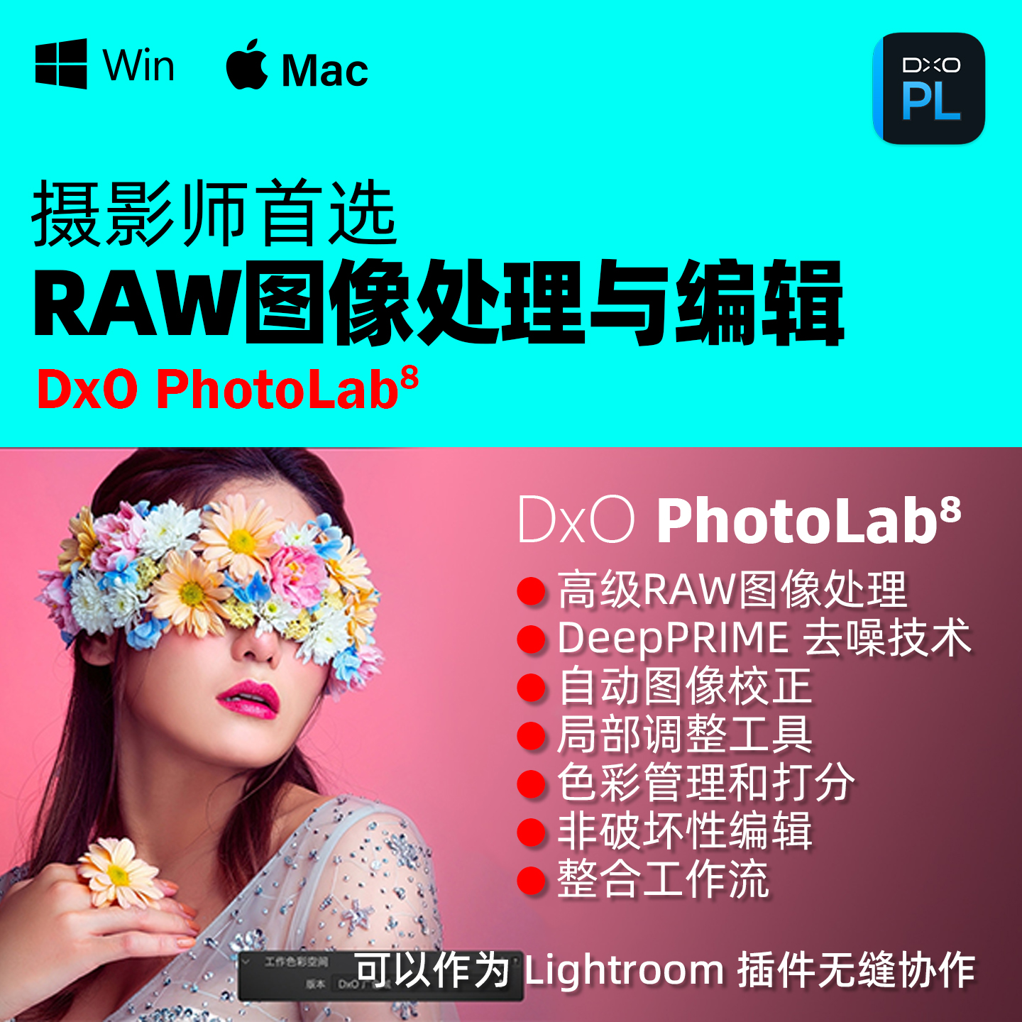 DxO PhotoLab 9.1 照片RAW图片处理降噪调色软件中文 Win Mac M1