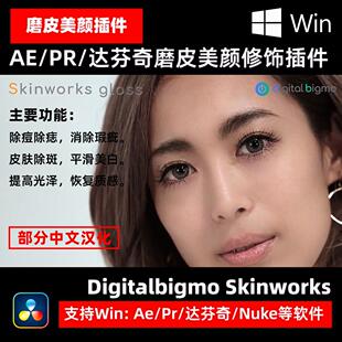 AE/PR/达芬奇磨皮美颜皮肤美白插件 Digitalbigmo Skinworks Win