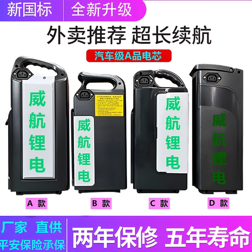 全新携成48v踏板电动车锂电池
