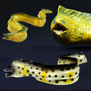 仿真海鳗鱼模型电鳗鱼摆件实心带鱼软胶海洋动物鱼缸造景儿童玩具