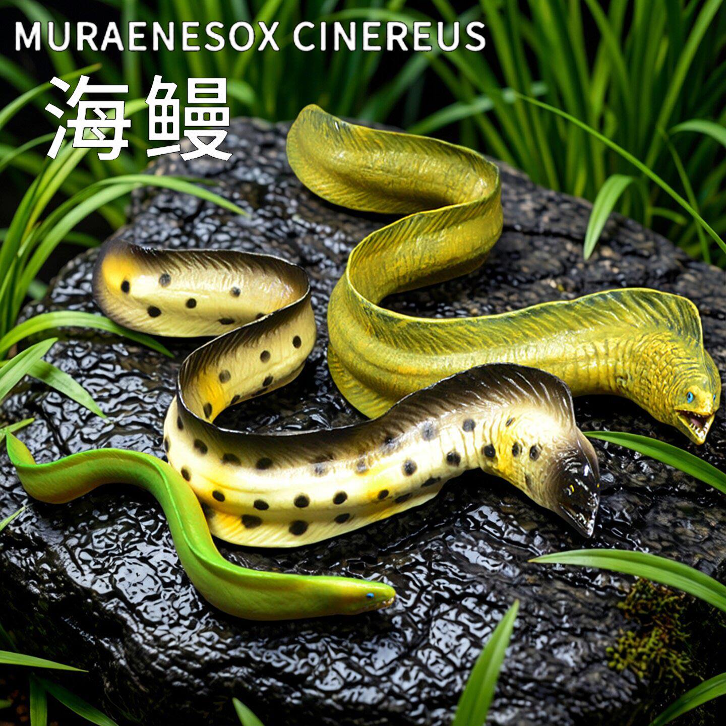 仿真鳗鱼模型大海鳗鱼电鳗摆件实心带鱼海洋动物鱼缸造景儿童玩具