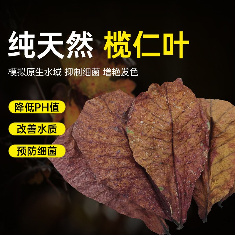 其他榄仁叶降酸PH值调节调节水质图片