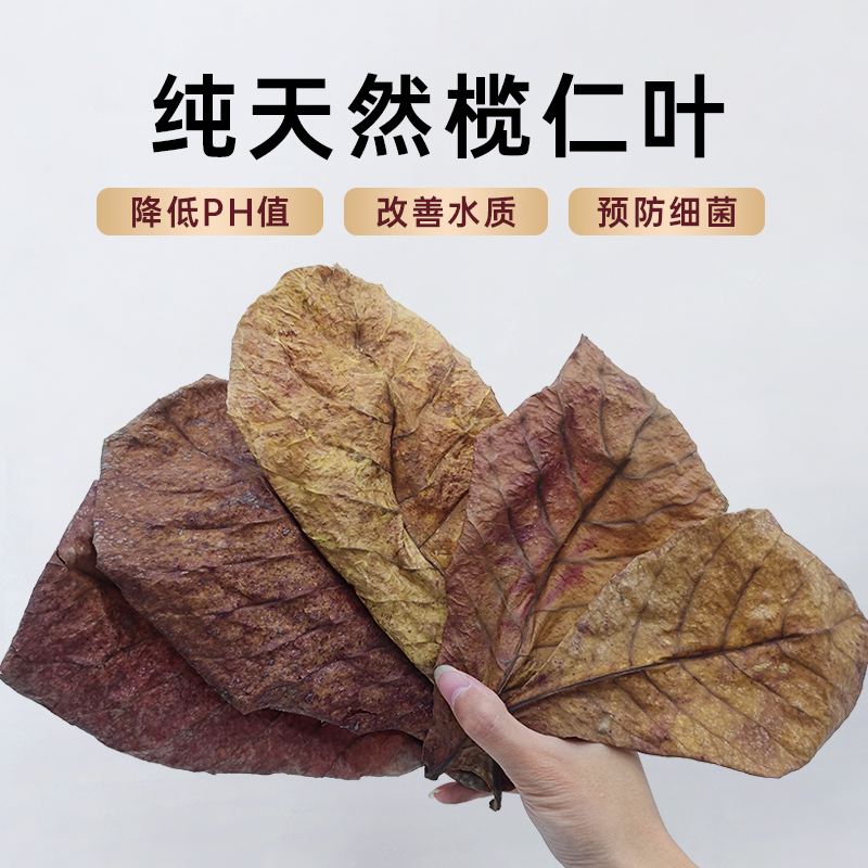 其他榄仁叶降酸PH值调节剂包邮