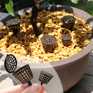 带盖玉肥盒盆景肥料盒施肥篮植物多肉兰花施肥装颗粒肥园艺用品