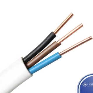 正泰电线电缆BVVB铜芯护套线3*1.5/2.5/4平方三芯 电线零剪 10米