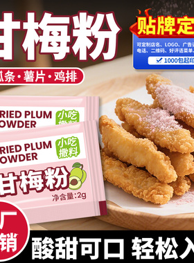 海霖甘梅粉小包装撒粉地瓜条炸鸡排块薯片调料蘸料商用调料包定制