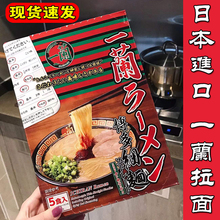 现货日本进口一籣拉面说一兰拉面博多速食面条挂面直面细面5人份