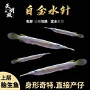 上层漂浮白金水针鱼活体 银针鱼活 宠物鱼热带淡水观赏鱼