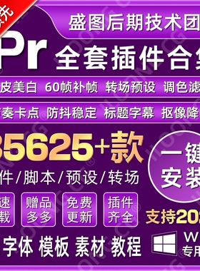 Pr插件全套一键安装包中文转场looks调色降噪磨皮字幕补帧Win2026