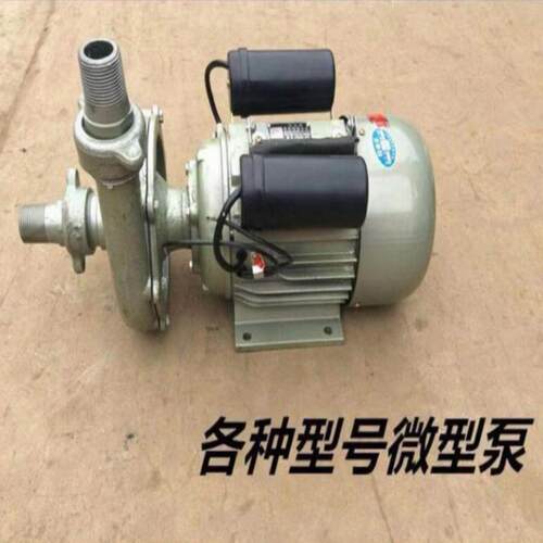 德国品质乐龙微型离心泵自吸抽水电泵家用农用井水抽水泵220V