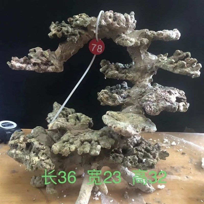 海缸活石海缸造景高钙深s海活石免爆藻活石造景小海缸造景悬浮造