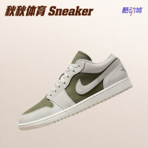 Air Jordan 1 AJ1 经典百搭板鞋减震低帮复古篮球鞋 HV4089-201