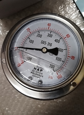YEATHEI HAp100YBFT04不锈钢压力表100MM轴向带边100-700kPa充油