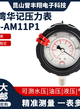 AB-AM11P1台湾华记STIKO/SAFE双面隔膜压力表外牙