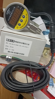 中國压力表雅德國產化h数显