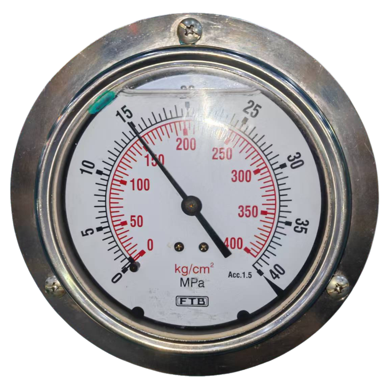 FTB轴向耐震真空压力表325.61.23YN100ZT 400kg3/8pt法兰偏轴接口