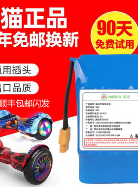 电动平衡车电池36v通用领奥左拉阿尔郎大容量锂电池组配件电瓶42V