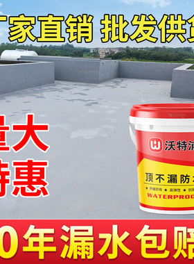 防水补漏材料屋顶平房楼顶室外外墙补漏王裂缝渗水漏水专用涂料胶