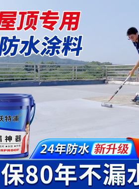 沃特浦楼顶裂缝水池户外补漏神器天沟积水专用修补防水涂料产品