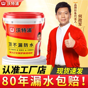 沃特浦防水涂料屋顶裂缝渗水补漏材料房顶平房漏水专用楼顶防漏胶